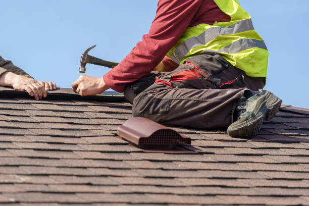 Best Roof Gutter Cleaning  in Franklin, NH